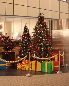 Indendørs juletræer pyntet med røde og guld ornamenter, omgivet af farverige gaveæsker, placeret i en butik eller offentlig bygning som juledekoration.