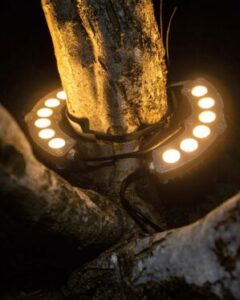 LED spot til træer