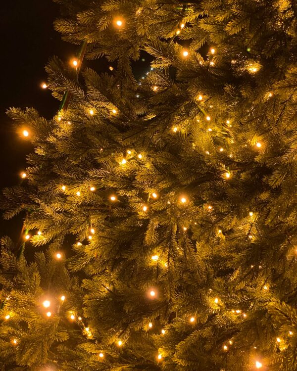 Nærbillede af tæt juletræ med varme hvide LED-lys. De grønne grene og små pærer skaber en hyggelig og festlig stemning i mørket.