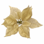 12 x Guld Ponsettia blomst med klemme, H: 17cm x L: 23cm x B: 23cm Guld