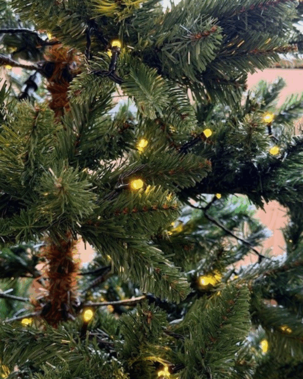 Juletræ med lyskæde med gulligt lys.