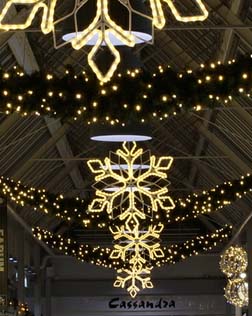 Stor granbue med glitrende lys