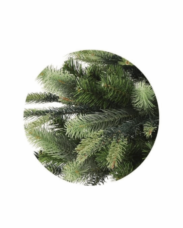 Nærbillede af PE grene
