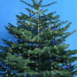 Lysgardin til juletræ - 1,8 m med 432 multicolor LED og 8 funktioner, sort ledni Multicolor LED, statisk lys
