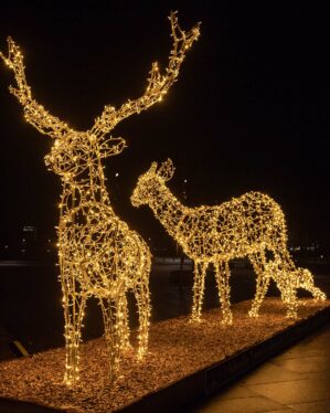 Lysende krondyr familie i varm hvid LED-belysning med hjort, hind og kalv opstillet udendørs om natten som dekorativ juleudsmykning med stemningsfuldt lys i omgivelserne.