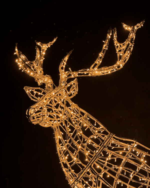 Nærbillede af dekorativ LED-hjort med store gevirer i aluminiumsramme og varm hvide lys, designet til stemningsfuld juleudsmykning i butikker, indgange og udendørs områder.