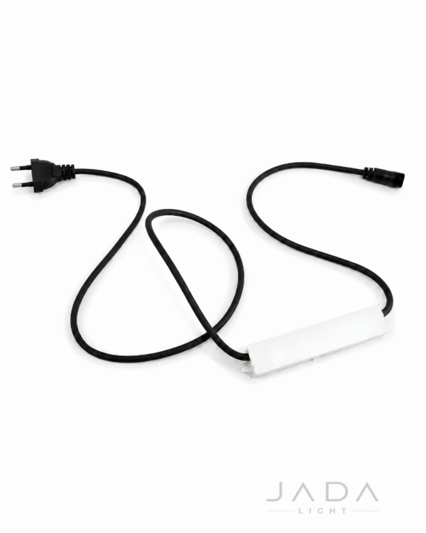 100W transformer.